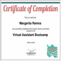 Virtual Certificate