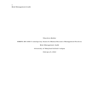 Sample Risk Audit