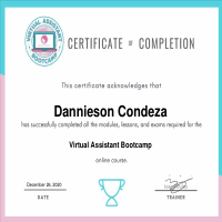 VA Bootcamp Intensive Training Certificate