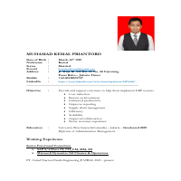 Project Experience