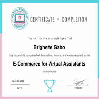 E-Commerce for Virtual Assistant Certificate