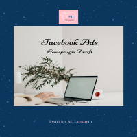 Facebook Ads Campaign Draft