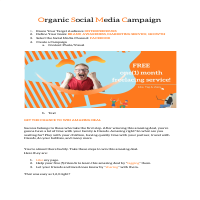 Organic Social Media Campaign