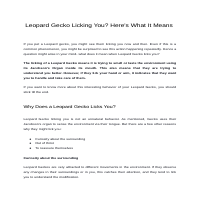 Leopard-Gecko-licking-you_-Heres-what-it-means
