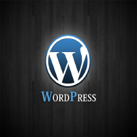 Wordpress Custom Development