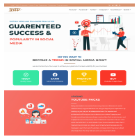 Social Media Service Website 