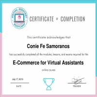 E-Commerce VA Certificate Of Completion Online Course