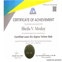 My Lean Six Sigma Journey - Yellow Belt