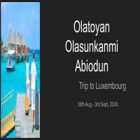 my travel plan pack for the client 