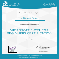 Microsoft Excel for Beginners Certification