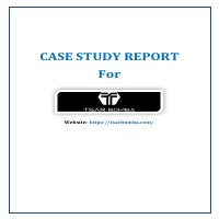 E- Commerce SEO case study