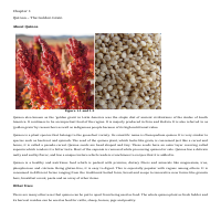 Writing Sample 7: 