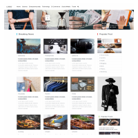 Full Responsive Blog Website