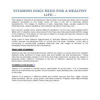 Vitamins Dogs need for healthy life