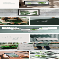Branding & E-commerce transformation