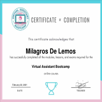 CERTIFICATE VA BOOTCAMP