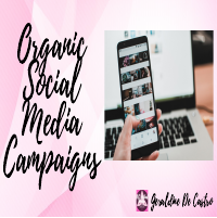 Organic Social Media Campaign