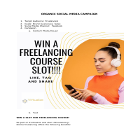 Organic Social Media Campaign 