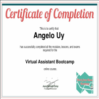 Virtual Assistant Bootcamp Certificate