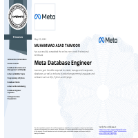 Meta Database Engineer 