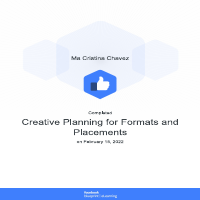 Creative Planning for Formats and Placements