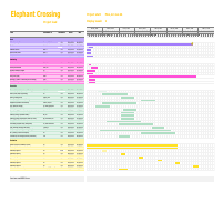 ECH Construction Project Management Chart