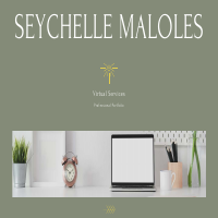 Seychelle's Marketing Portfolio