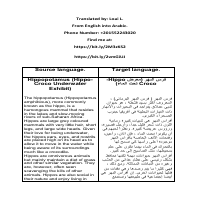 English To Arabic Translation (Hippopotamus)
