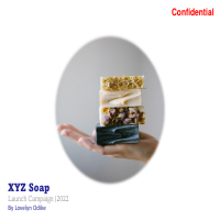 Product Launch Campaign