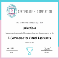 E-Commerce VA Certificate
