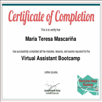 Certiicate of Completion VA Online Course