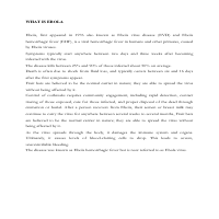 Image to word-PDF