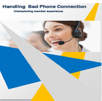 Project Mgmt:Training Huddle Doc - Handling Phone Connection