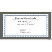SAP Certiificates