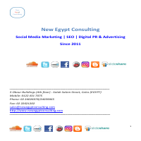Social Media Marketing Company: New Egypt Consulting