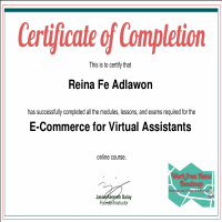 E-Commerce VA Certificate