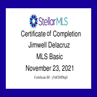Stellar MLS Certification
