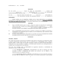 Original Contract Document in Spanish