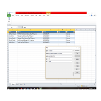 Screenshot of Excel Data Entry Sample