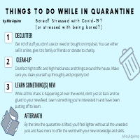 What to do while in quarantine Infographic