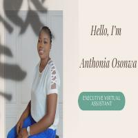 VA Portfolio