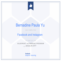 FB Ads Blueprint