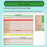 Excel Project over remote platofrform