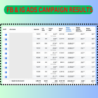 Facebook and Instagram Ads Results 
