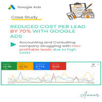 Leads for Accounting Firm