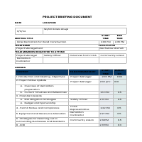 Project Briefing document