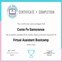 Virtual Assistant Certificate Of Completion Online Course
