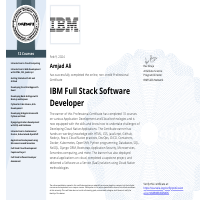 IBM Full Stack Software Developer 