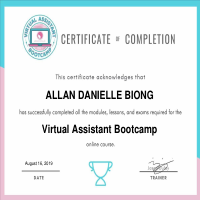 VIRTUAL ASSISTANT BOOT CAMP certificate