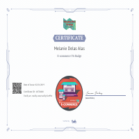 E-commerce Certification
